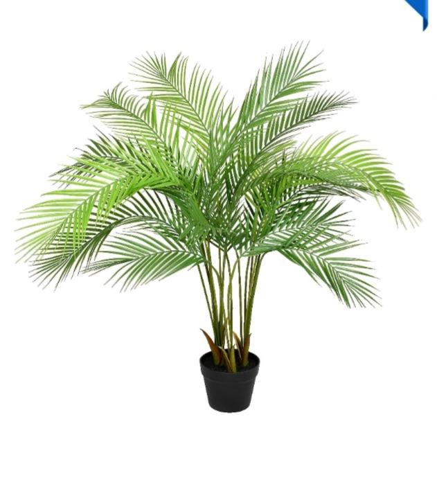 imagem de Planta Palmeira Real Toque X18 1,20 Metros Verde