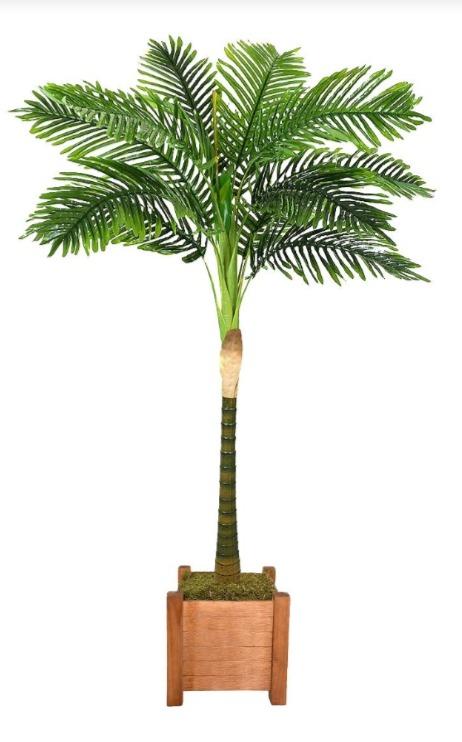 imagem de Planta Palmeira X12 1,75 Metros Verde