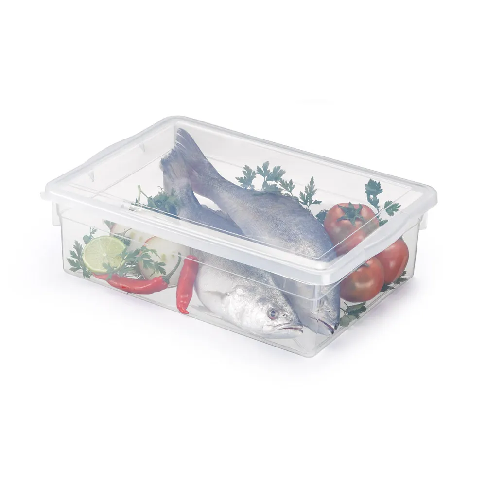 imagem de Caixa Organizadora Biopratika Com Tampa 11 Litros