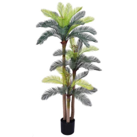 imagem de Planta Palmeira X3 Cicus 1,40 Metros Verde