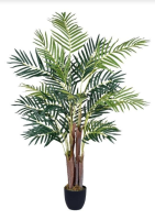 imagem de Planta Palmeira 1,20 Metros Verde